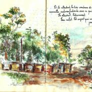 Stylo et aquarelle